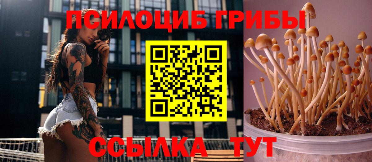 Галлюциногенные грибы Psilocybe  Вход с VPN  Псилоцибиновые грибы MAGIC MUSHROOMS  Ногинск 