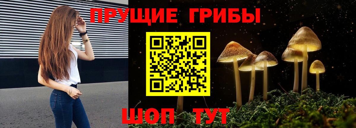 Псилоцибиновые грибы GOLDEN TEACHER Ногинск